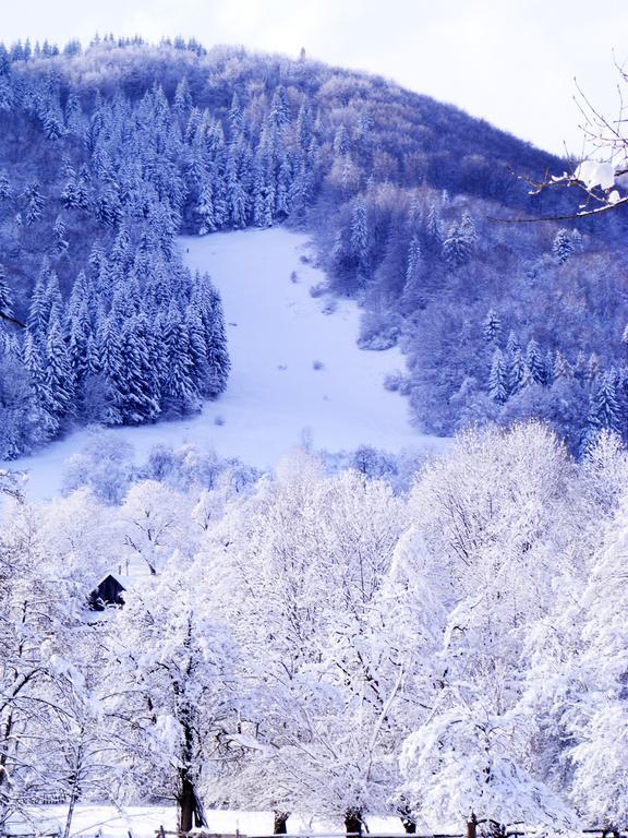 Готель Vila Carpathia Бран Екстер'єр фото