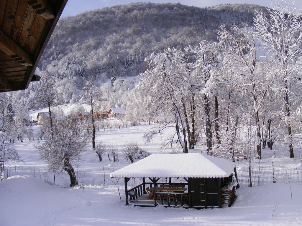Vila Carpathia Бран Екстер'єр фото